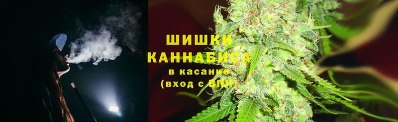 сколько стоит  Амурск  mega как войти  Конопля White Widow 